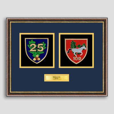 25 Royal Logistic Corps & 109 Sqn Framed Military Embroidery Presentation
