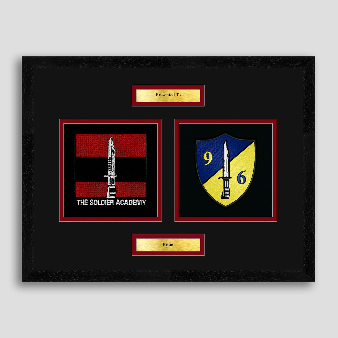 Army Training Regiment & 96 Squadron Framed Military Embroidery Presentation
