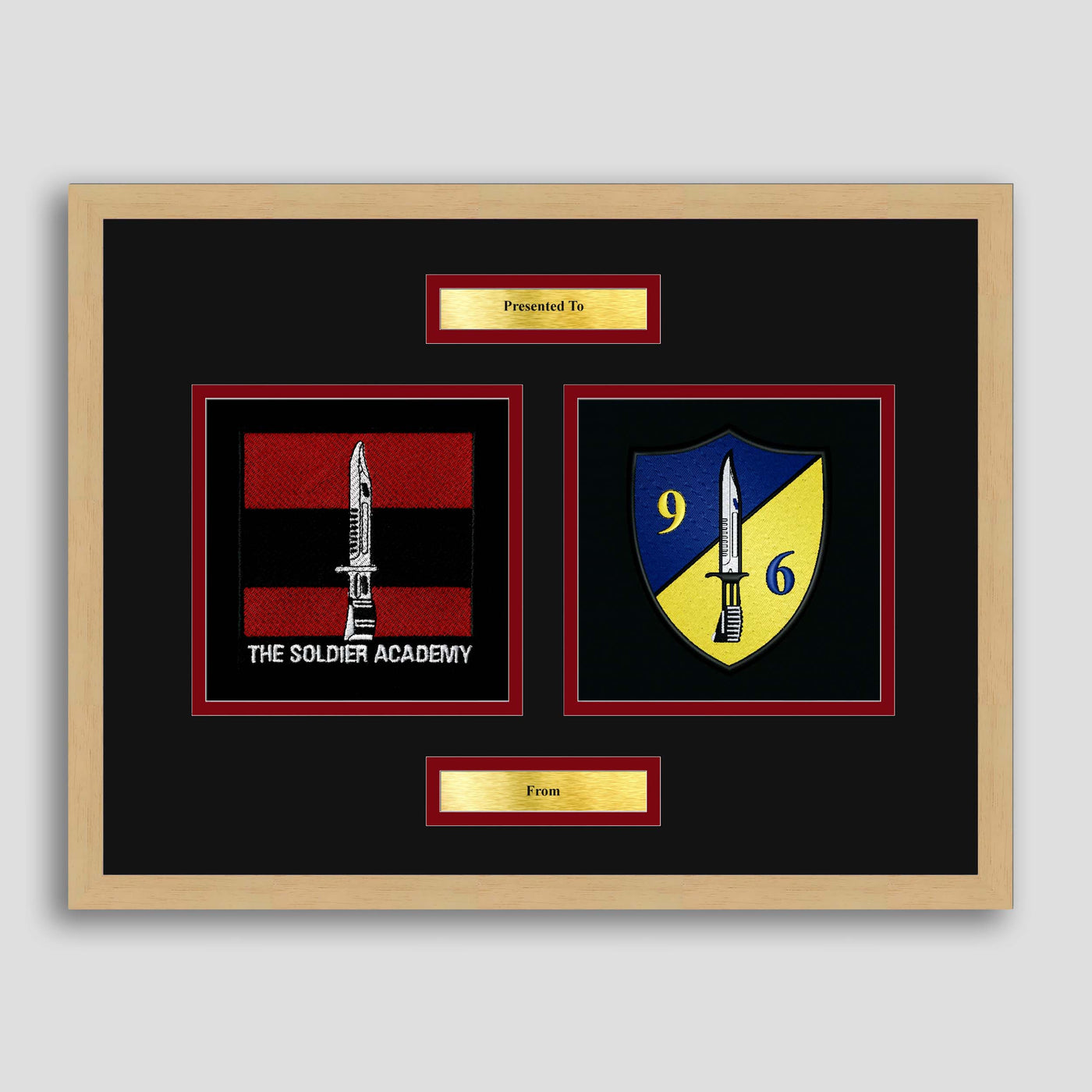 Army Training Regiment & 96 Squadron Framed Military Embroidery Presentation