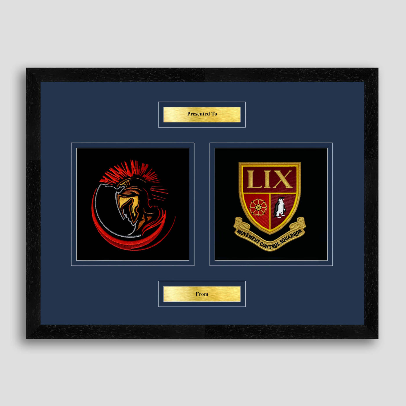 29 Royal Logistics Corps & 59 Movement Control Squadron Framed Military Embroidery Presentation