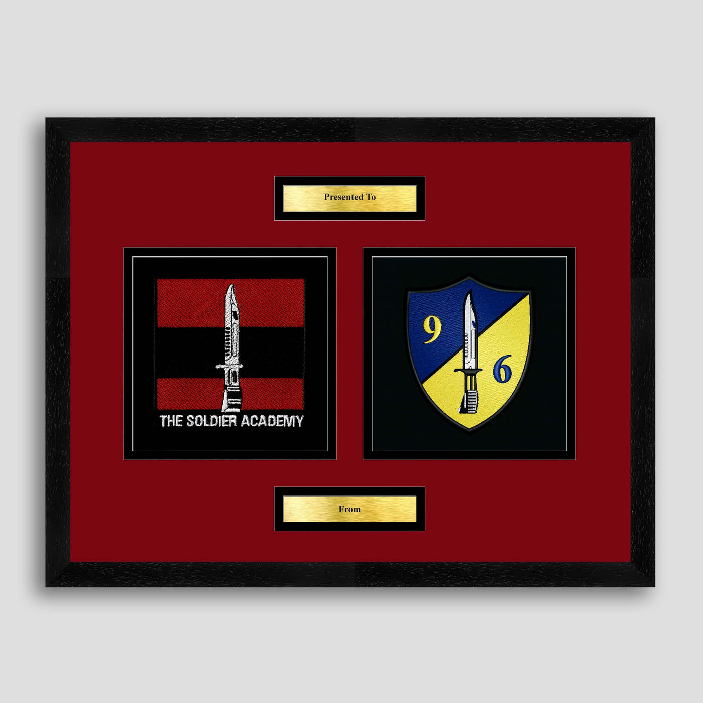Army Training Regiment & 96 Squadron Framed Military Embroidery Presentation