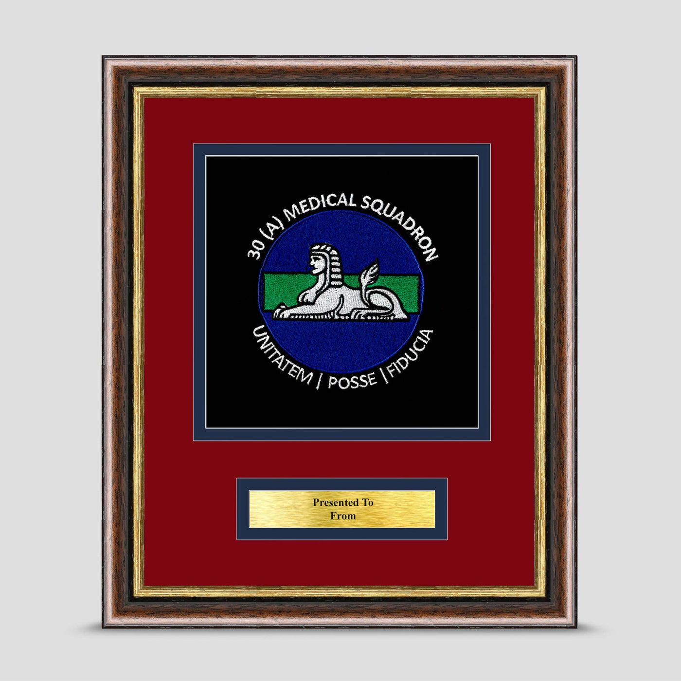 30 Squadron 1 Medical Regiment Framed Military Embroidery Presentation