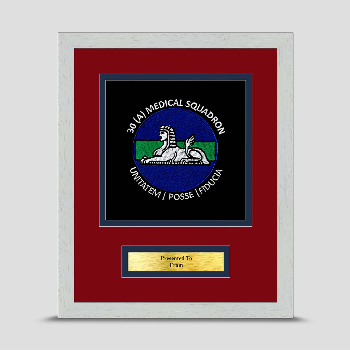 30 Squadron 1 Medical Regiment Framed Military Embroidery Presentation