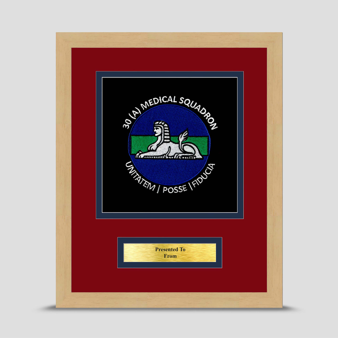 30 Squadron 1 Medical Regiment Framed Military Embroidery Presentation