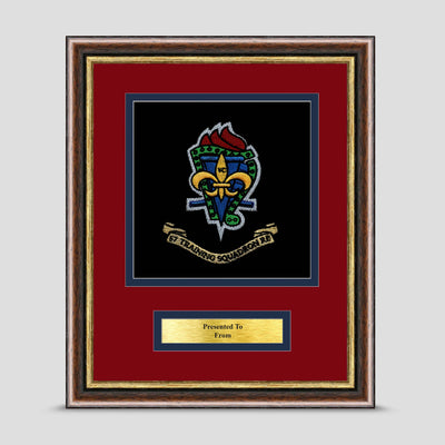 57 Training Squadron, 3 RSME Framed Military Embroidery Presentation