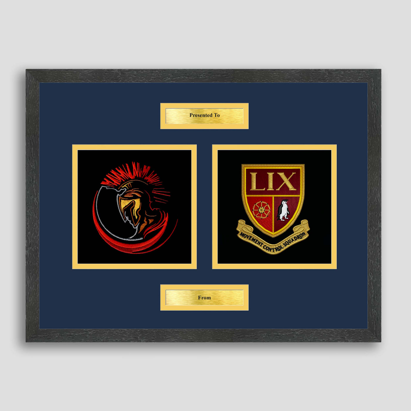 29 Royal Logistics Corps & 59 Movement Control Squadron Framed Military Embroidery Presentation