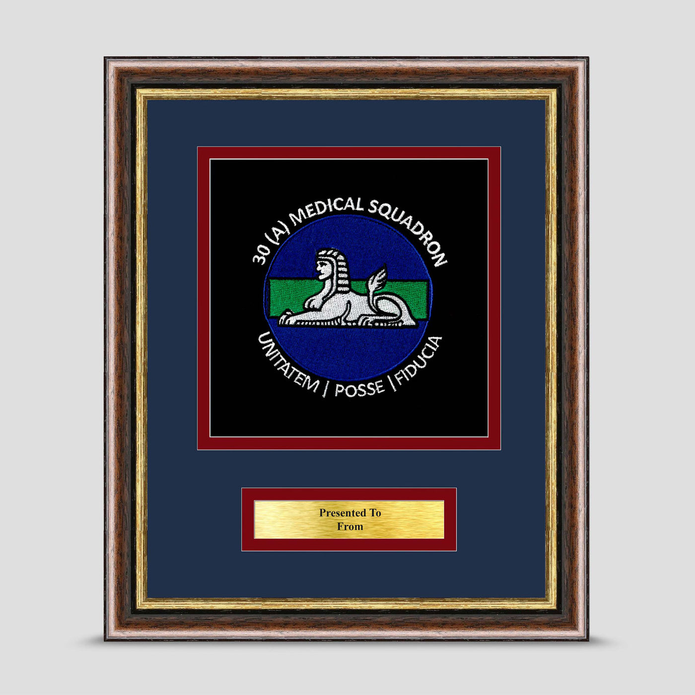 30 Squadron 1 Medical Regiment Framed Military Embroidery Presentation