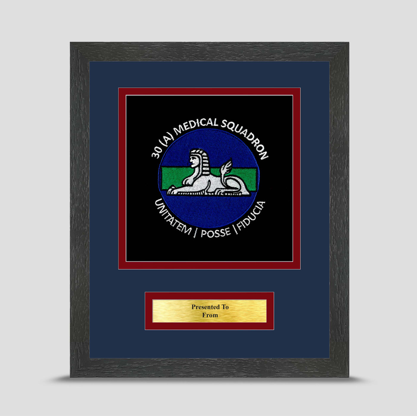 30 Squadron 1 Medical Regiment Framed Military Embroidery Presentation