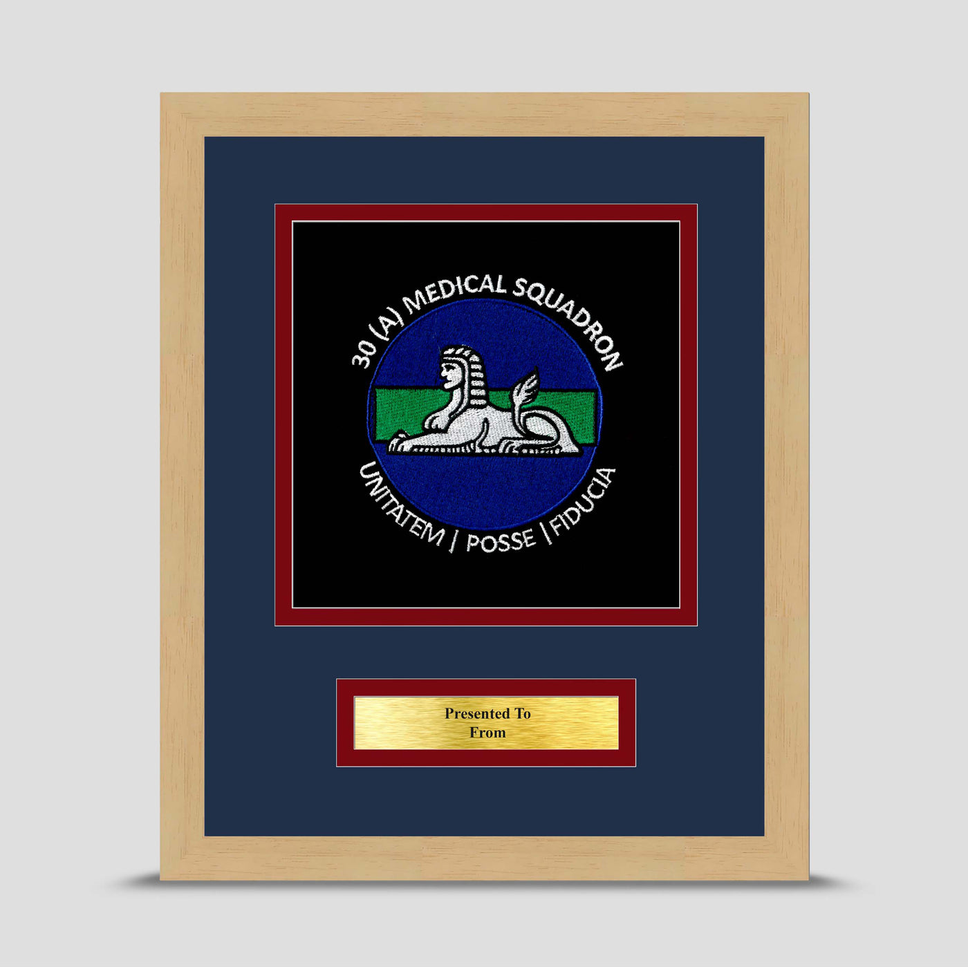 30 Squadron 1 Medical Regiment Framed Military Embroidery Presentation