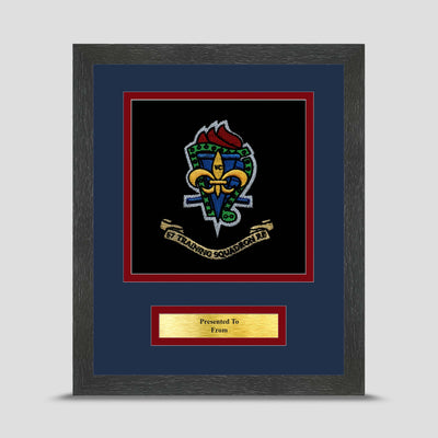 57 Training Squadron, 3 RSME Framed Military Embroidery Presentation