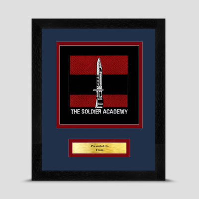 Army Training Regiment Framed Military Embroidery Presentation