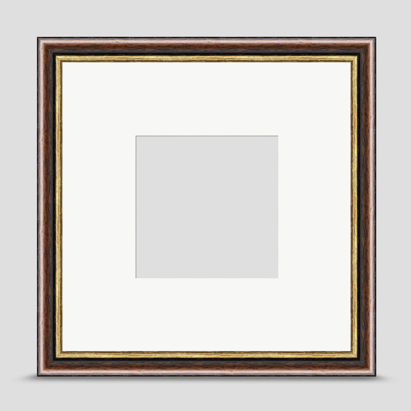 10x10 Brown & Gold Picture Frame with a 6x6 Mount