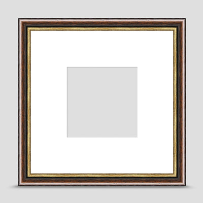 10x10 Brown & Gold Picture Frame with a 6x6 Mount