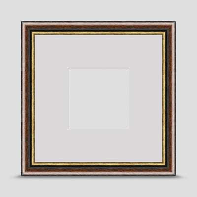 8x8 Brown & Gold Picture Frame with a 4x4 Mount