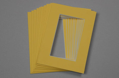 Trade Pack - Arqadia Yellow Primrose 7x5 for 5x3 - 12 Pack