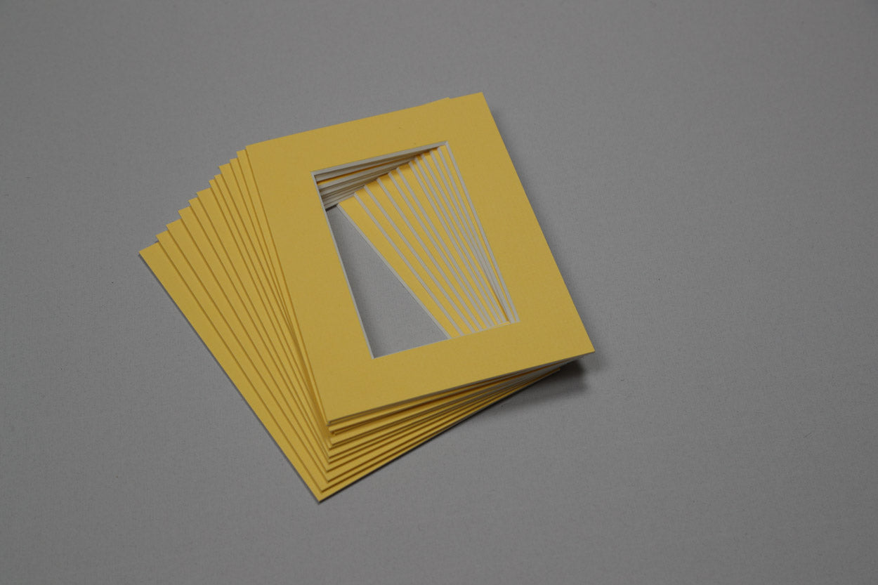 Trade Pack - Arqadia Yellow Primrose 7x5 for 5x3 - 12 Pack