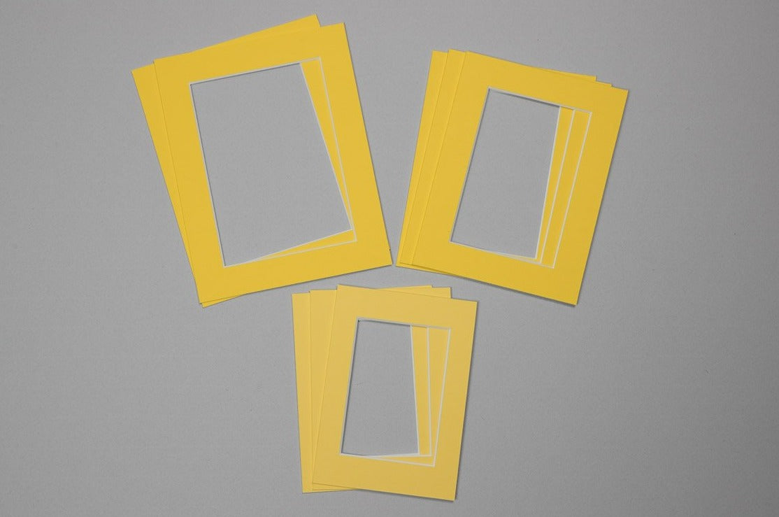 Trade Pack - Various Yellow Mounts - Pack of 8