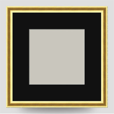 6x6 Thin Gold Cushion Picture Frame with a 4x4 Mount