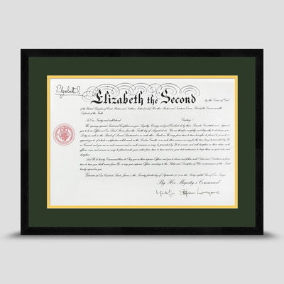 Military Warrant Commission Scroll picture frame with a dark green & yellow mount
