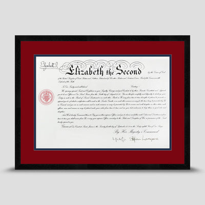 Military Warrant Commission Scroll picture frame with a dark red & dark blue mount