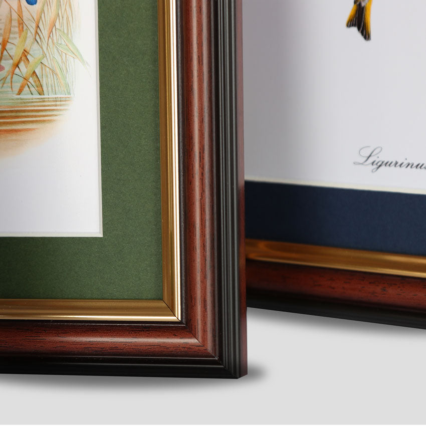Triple Landscape Photo Frame Brown with Gold Trim available in 5x3.5, 6x4 & 7x5 size