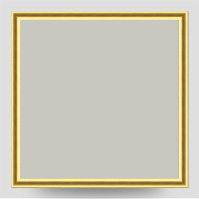 10x10 Thin Gold Cushion Frame with a 6x6 Mount