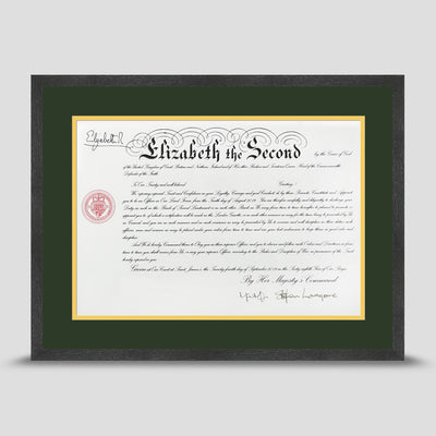 Military Warrant Commission Scroll picture frame with a dark green & yellow mount