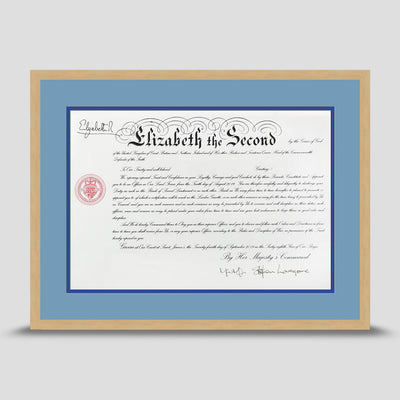 Military Warrant Commission Scroll picture frame with a light blue & blue mount