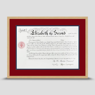 Military Warrant Commission Scroll picture frame with a dark red & dark blue mount