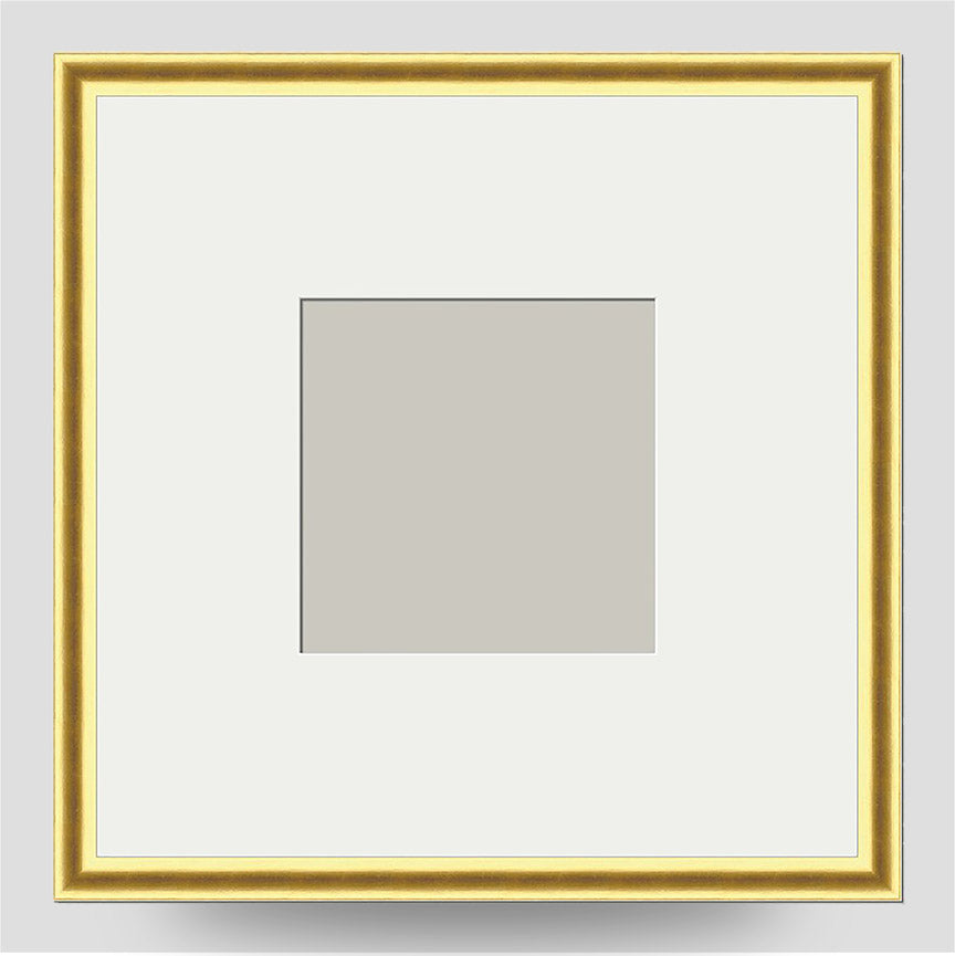 8x8 Thin Gold Cushion Picture Frame with a 4x4 Mount
