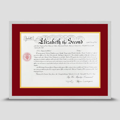 Military Warrant Commission Scroll picture frame with a dark red & yellow mount