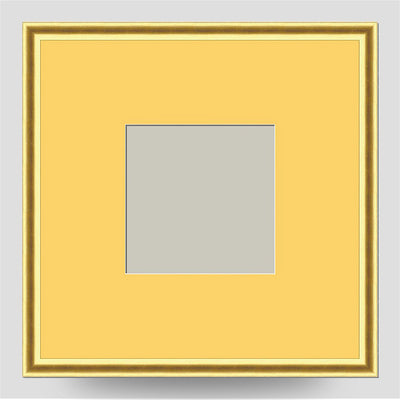 8x8 Thin Gold Cushion Picture Frame with a 4x4 Mount